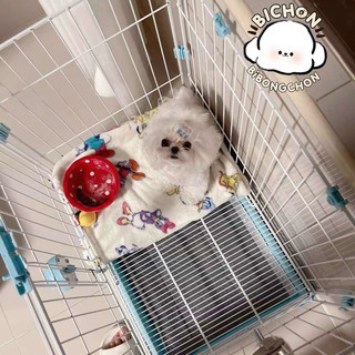 Chuồng chó mèo cao cấp, lồng chó mèo phong cách Hàn Quốc - Bibongchon