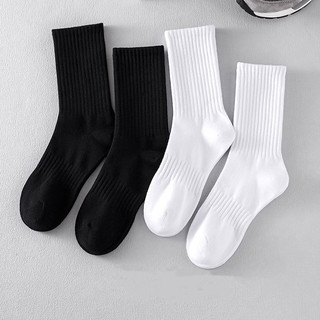 VỚ CAO CỔ TRẮNG TRƠN/ ĐEN TRƠN