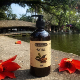 Dầu gội dưỡng sinh bồ kết thảo mộc 2 trong 1 chai 500ml