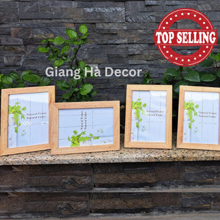 Combo 10 Khung Hình Treo Tường Để Bàn Bằng Gỗ Cao Su 13*18 - 5x7inch photo frame