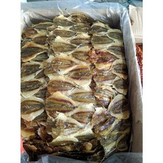 500 GRAM CÁ CHỈ  TO dầy thịt