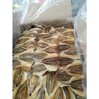 500 GRAM CÁ CHỈ  TO dầy thịt