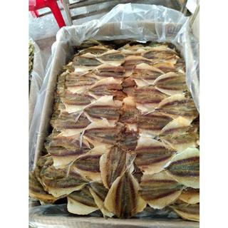 500 GRAM CÁ CHỈ  TO dầy thịt