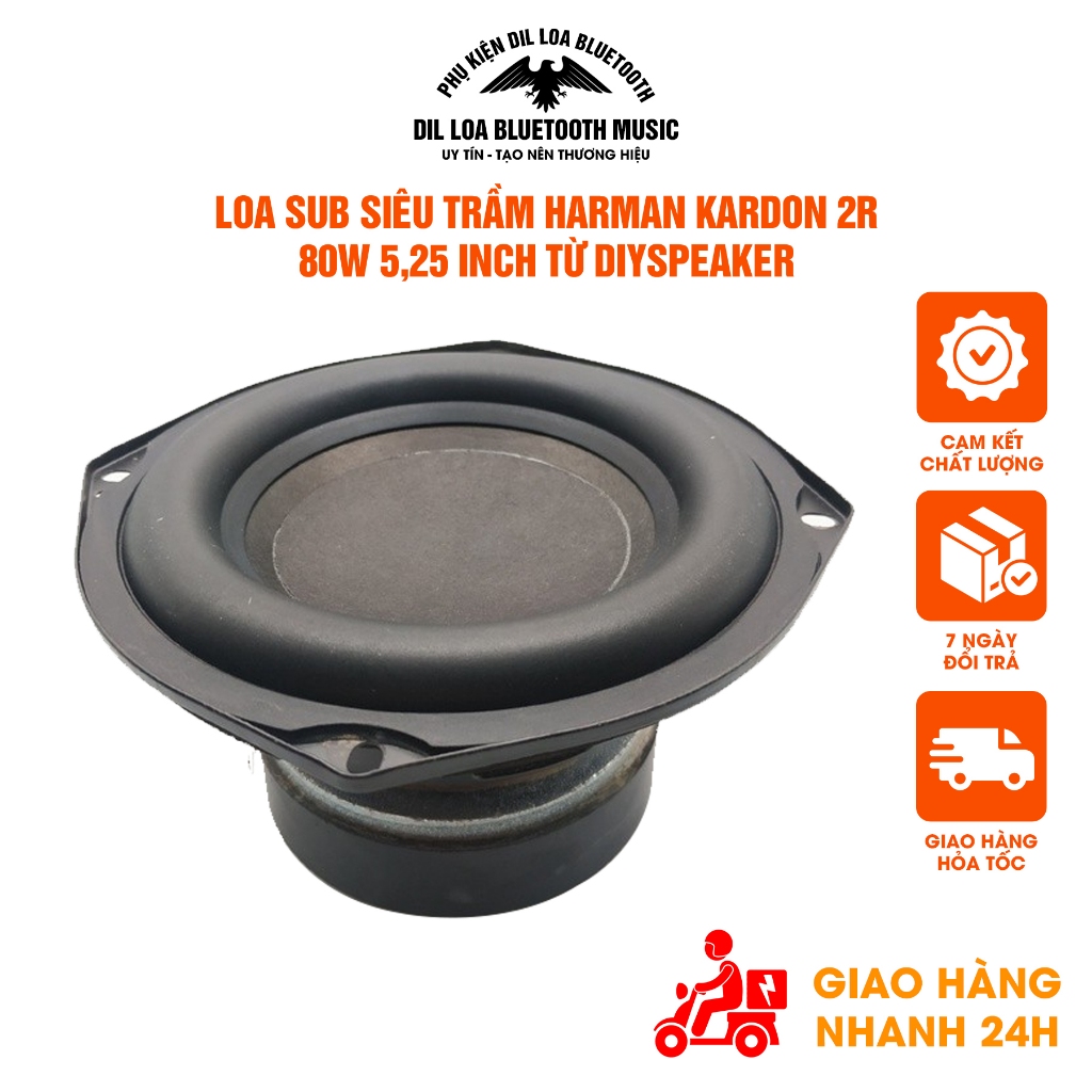 Loa sub siêu trầm Harman Kardon 2R 80W 5,25 inch từ DiySpeaker