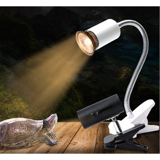  Kẹp đèn chiếu sáng bóng đèn sưởi uva uvb cho chuồng thú cưng bò sát rùa rắn thằn lằn chuột gà cá cảnh trang trí vật nuôi 