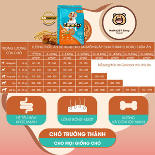 [Túi chiết 1kg] Thức ăn cho chó GANADOR