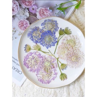 Hoa thúy châu ép khô handmade size to làm journal, DIY