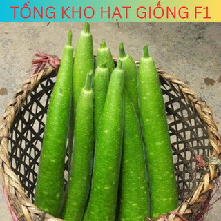 Hạt giống bầu sao trái dài, bầu sao siêu trái F1