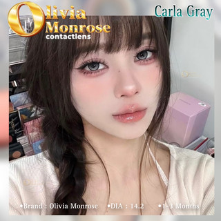 Caral Gray Lens ( Có tặng khay đựng lens )