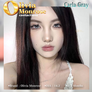 Caral Gray Lens ( Có tặng khay đựng lens )