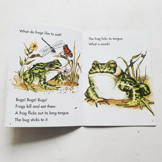 Đồ chơi Phonics cho bé từ 3+