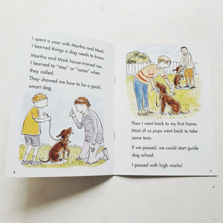 Đồ chơi Phonics cho bé từ 3+