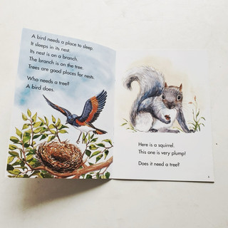 Đồ chơi Phonics cho bé từ 3+