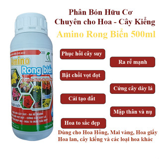  Phân Bón Hữu Cơ cho Hoa Kiểng Amino Rong Biển 500ml Phân bón mai vàng hoa hồng hoa giấy hoa lan cây kiểng bon sai 