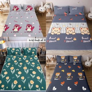 Chiếu điều hòa tencel 5d 1m6,1m8,2m2 bộ chiếu cao su non tặng kèm 2 vỏ gối đầu hàng loại 1