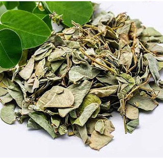 Kim Tiền Thảo giúp lợi tiểu, hỗ trợ sỏi mật, sỏi thận, sỏi bàng quang, lợi tiểu, ổn định huyết áp
