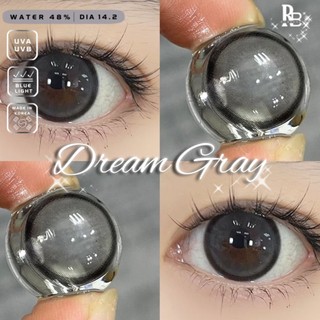 Kính Áp Tròng RUBYEYES Silicone Hydrogel Màu Xám Dream Gray + Tặng Kèm Khay Dụng Cụ BST BEARLENS