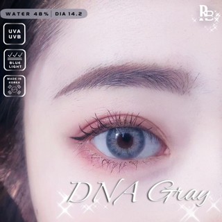 Kính Áp Tròng RUBYEYES Màu Xám Tây Xanh DNA GRAY, Lens Mắt Silicone Hydrogel Màu Xám Tây BST BEARLENS