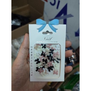 Set nơ mix màu gắn móng