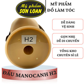 Đầu manocanh H2, Canh H2