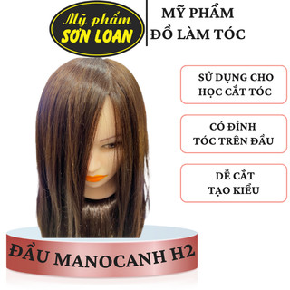 Đầu manocanh H2, Canh H2