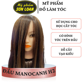 Đầu manocanh H2, Canh H2