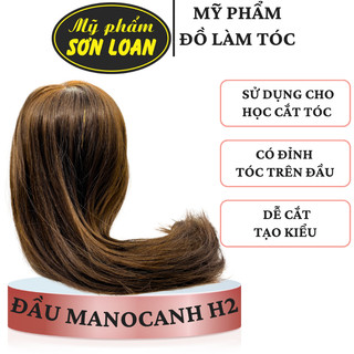 Đầu manocanh H2, Canh H2