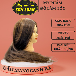 Đầu manocanh H2, Canh H2