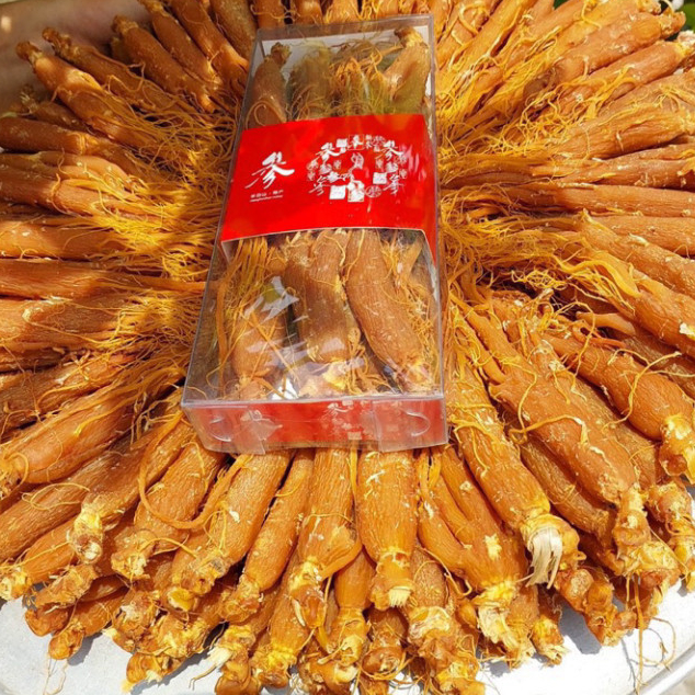 Hồng Sâm Sấy Dẻo Thơm Chuẩn ( Tây Bắc 99 )