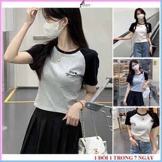 Áo croptop nữ tay ngắn cổ tròn chất thun gân co dãn, Áo thun croptop phối màu tôn dáng phong cách Hàn quốc AT55