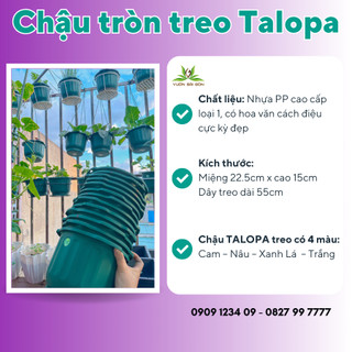 (Combo 2 chậu) Chậu treo tròn TALOPA - Green City