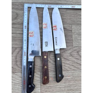 DAO NHẬT BÃI