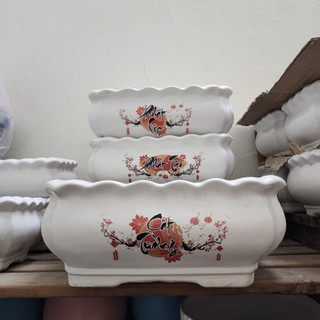 Chậu in TÀI LỘC nhiều dáng chậu khác nhau chất liệu sứ trắng tráng men có lỗ thoát nước siêu rẻ