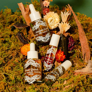  Spell Oil   Dầu Học Tập  Học Tập - Kì Thi - Học Giỏi 