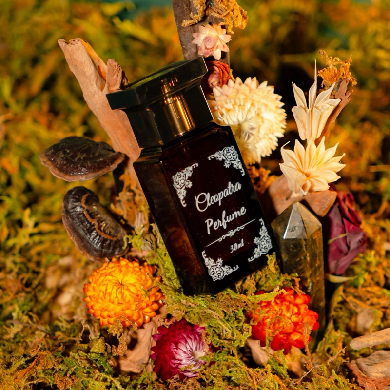 Spell Nước Hoa Quyến Rũ và Thu Hút Người Yêu