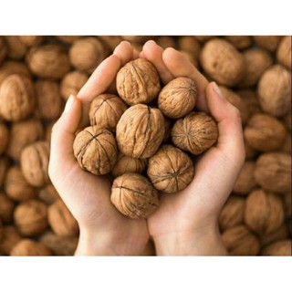  1kg Quả Óc Chó Mỹ óc chó giấy 