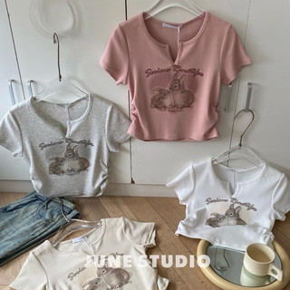 Áo thun nữ dáng croptop chất tăm hình thỏ xẻ cổ v senious 111 hàng quảng châu loại 1 (Ảnh thật)