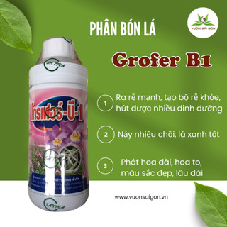 Phân bón lá B1 Thái Trắng (B1 Thái Lan Grofer) - Chuyên dùng cho lan, cây cảnh (Green City)