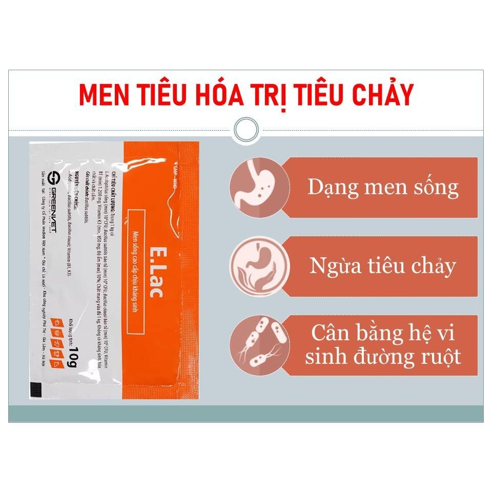 Elac - men tiêu hoá cho thú cưng