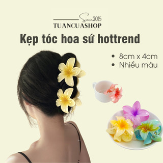 Kẹp tóc hoa sứ, kẹp lan sứ hottrend nhiều màu size to