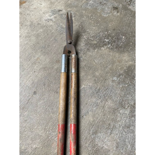 Kéo cắt bờ rào