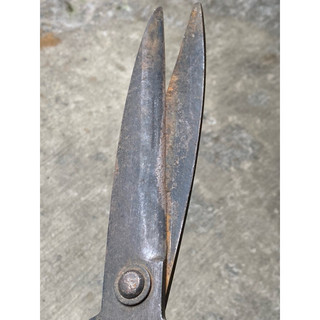 KÉO CẮT BỜ RÀO (HÀNG BÃI)