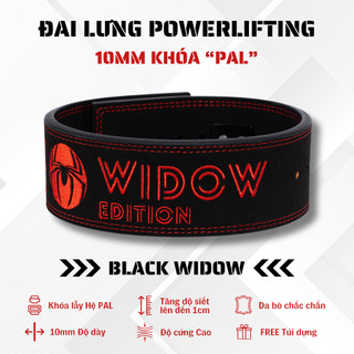 Đai khóa pal vpg chất da lộn với hình thêu - đai lưng tập gym khóa lẫy pal