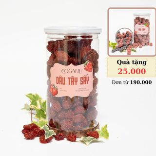 Dâu tây sấy dẻo 400gram, đặc sản Đà Lạt dâu tây sấy khô không đường, CoganuFarm