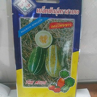 Dưa bở thơm  thái lan