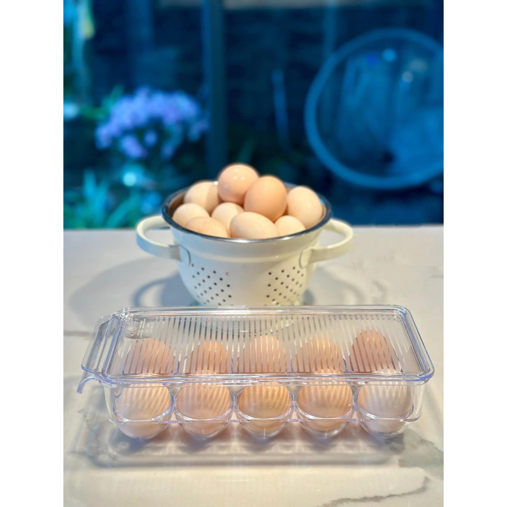 Hộp đựng trứng tủ lạnh Ernesto