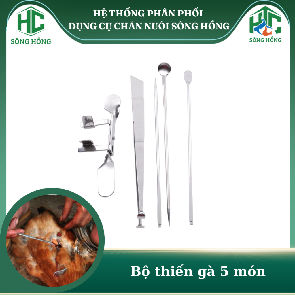 Bộ thiến gà