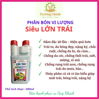 Siêu lớn trái _trái to, chống da lu, da cám, phì trái, trái lớn đồng đều, chống rụng trái, thối, nứt trái
