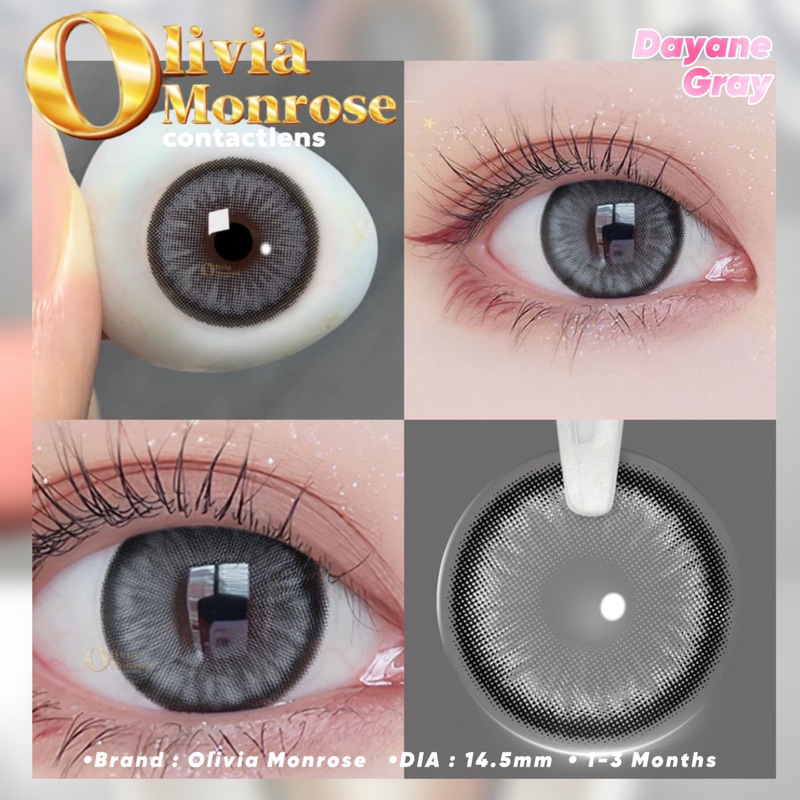 Dayane Gray Lens [ Tặng kèm khay đựng lens ]