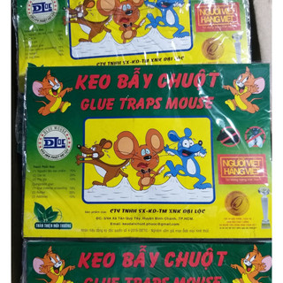 Keo dán chuột siêu dính đã có mồi